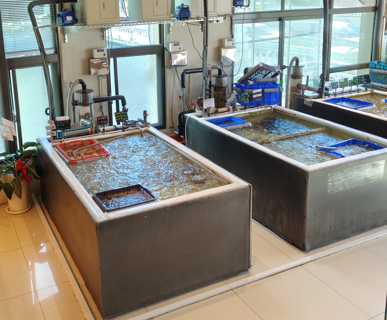 【宗初水產】竹北活體海鮮＋免費代切，冷凍宅配零煩惱！