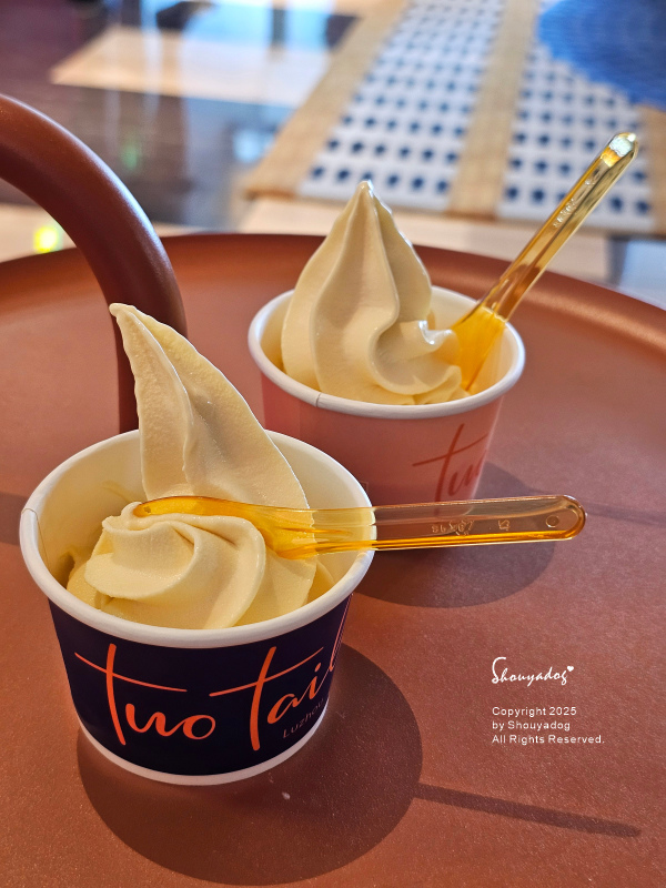 Two Tails Hotel 蘆洲 新北住宿推薦 捷運徐匯