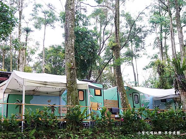 4人關懷蜜友艇815與16-茶香露螢 (2).jpg