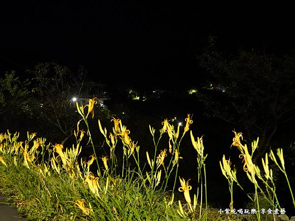 文山農場園區夜景 (2).jpg