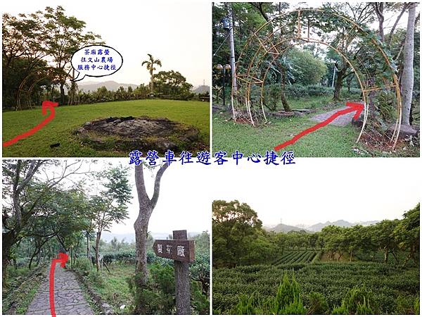 茶廂露螢往遊客中心捷徑-茶園步道.jpg