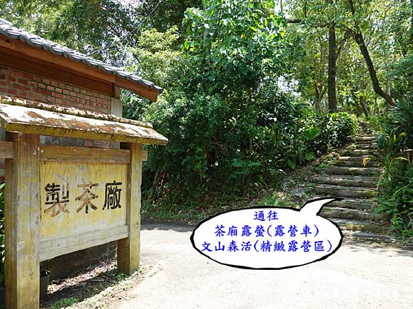 製茶廠旁山路是往茶廂露螢-茶園捷徑.jpg