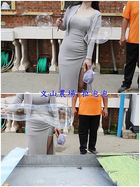 文山農場拉泡泡.jpg
