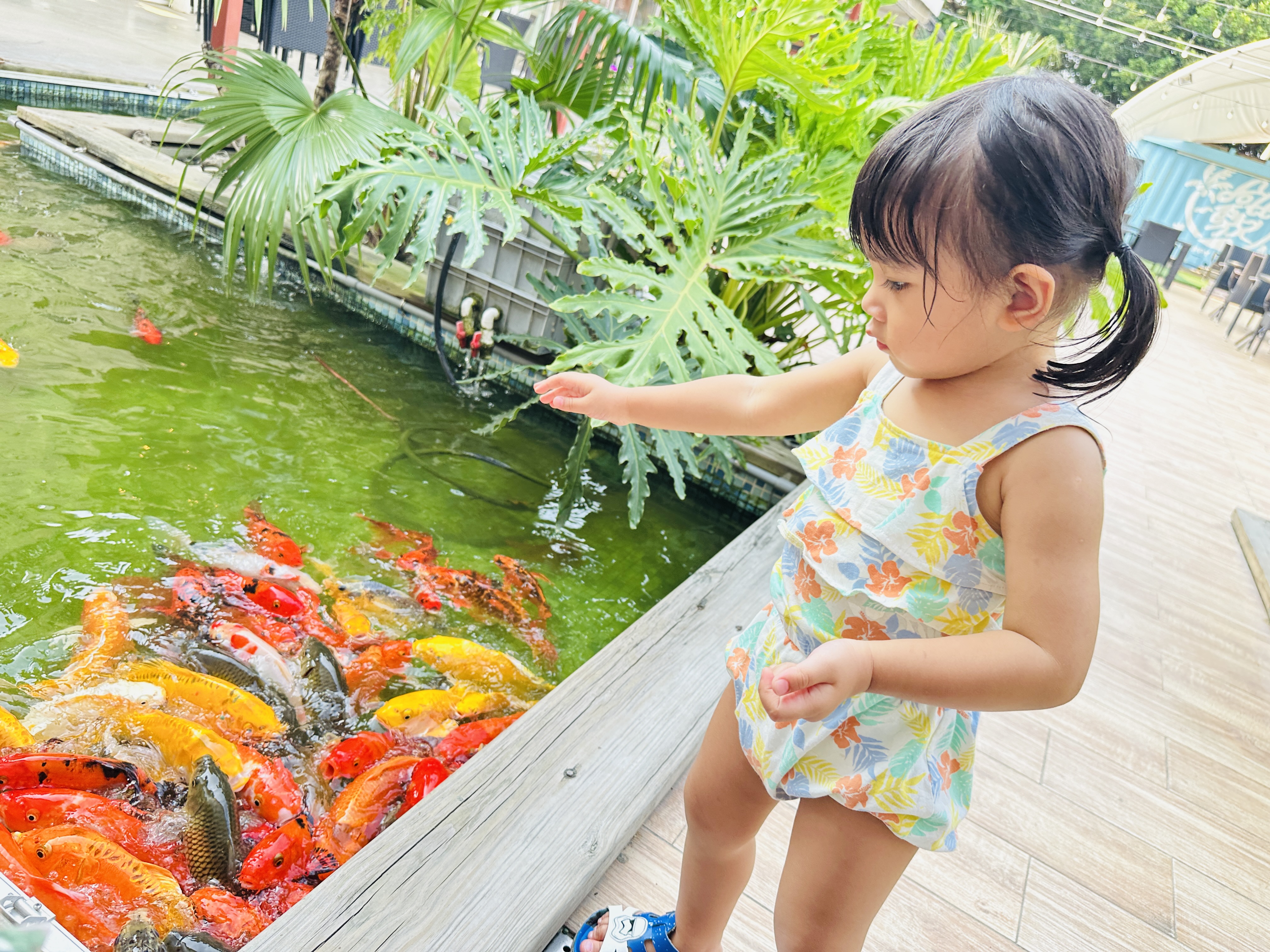 【哈比雪兒露營區】彰化懶人露營|一泊三食免裝備,親子帳棚住宿 【哈比雪兒露營區】彰化懶人露營|一泊三食免裝備,親子帳棚住宿