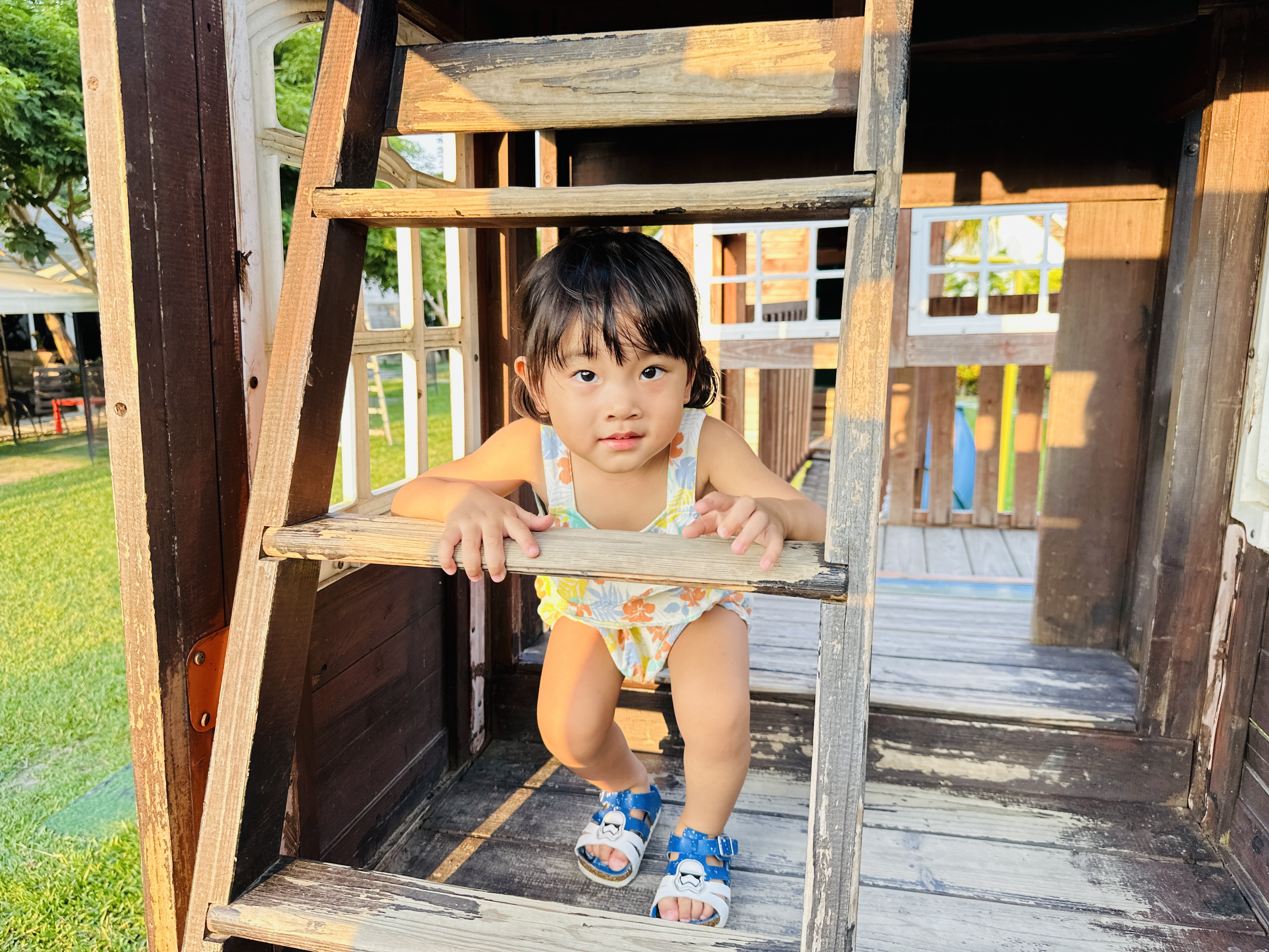 【哈比雪兒露營區】彰化懶人露營|一泊三食免裝備,親子帳棚住宿 【哈比雪兒露營區】彰化懶人露營|一泊三食免裝備,親子帳棚住宿