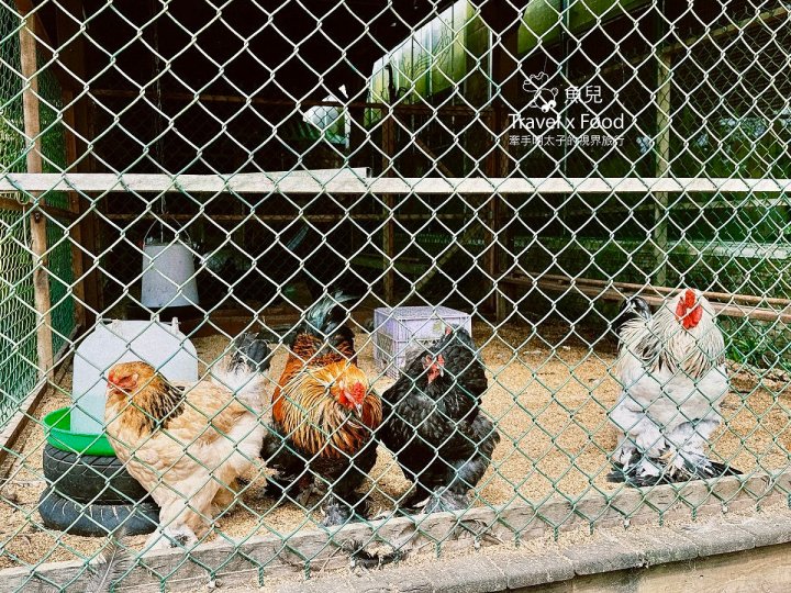 嶺空 Mountain Peak|結合美景美食與人文,擁180度寬闊視野,聚會最佳去處 - 魚兒 x 牽手明太子的「視」界旅行