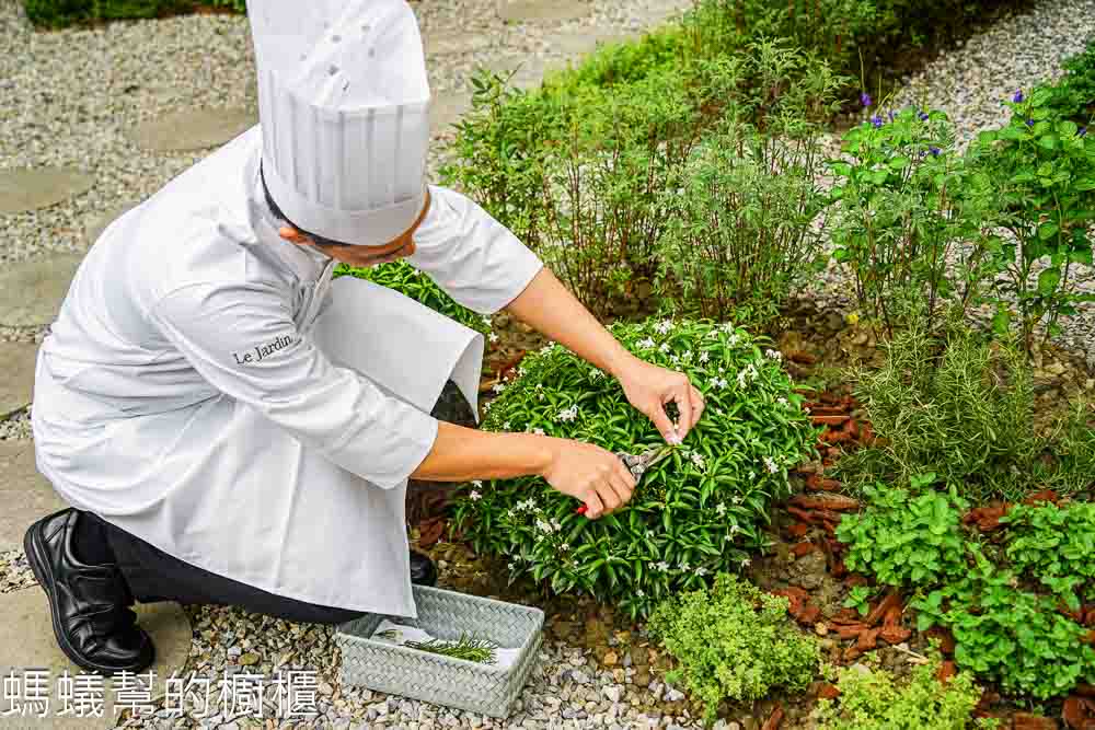 台中夏登法式鐵板燒|1450元套餐・七期香草宅邸無菜單料理。 - 螞蟻幫的櫥櫃