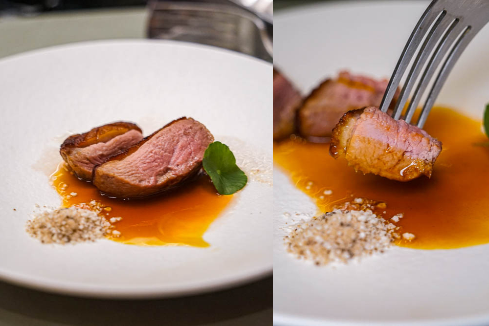 台中夏登法式鐵板燒|1450元套餐・七期香草宅邸無菜單料理。 - 螞蟻幫的櫥櫃