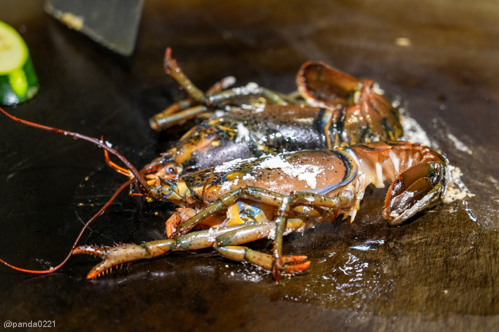 新北板橋｜軒妮士鐵板燒．228元起自助吧吃到飽，平價雙人套餐、海陸全餐、高級龍蝦和牛任選～