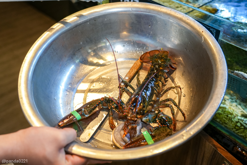 新北板橋｜軒妮士鐵板燒．228元起自助吧吃到飽，平價雙人套餐、海陸全餐、高級龍蝦和牛任選～