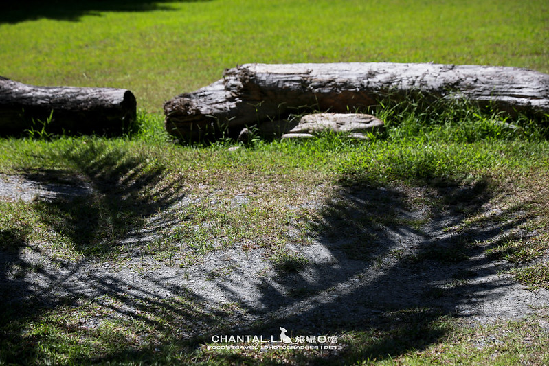 1J6A2682-2拷貝 拷貝