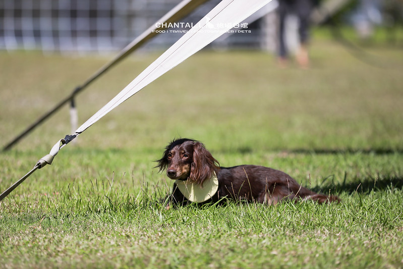 1J6A2634-2拷貝 拷貝