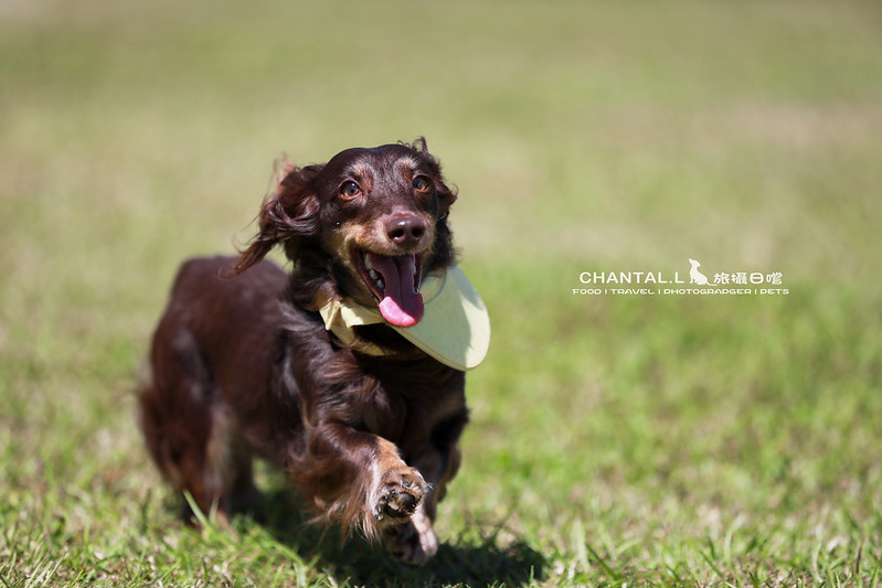 1J6A2667-2拷貝 拷貝