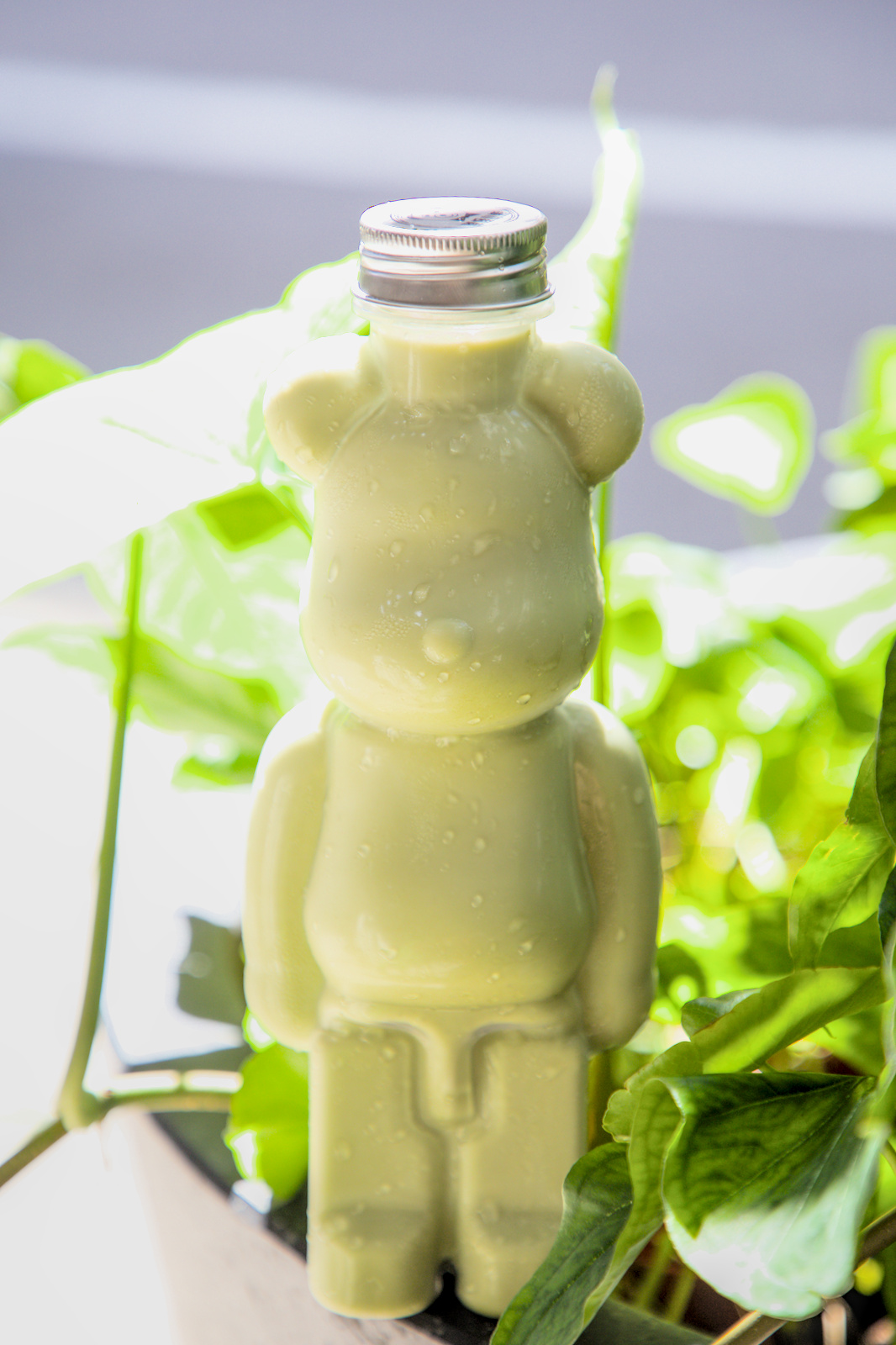 高雄鹽埕小熊奶茶！隱藏版手搖小熊瓶造型超療癒，高雄必訪飲料店。