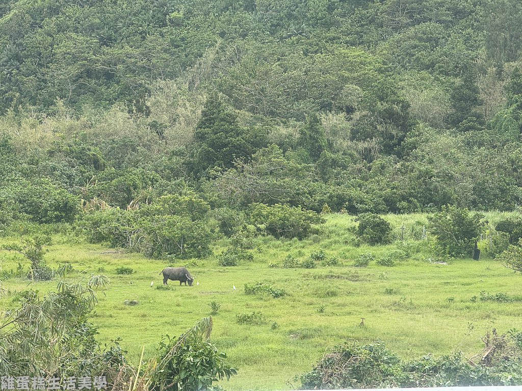 【綠島住宿】拾光旅行－綠島