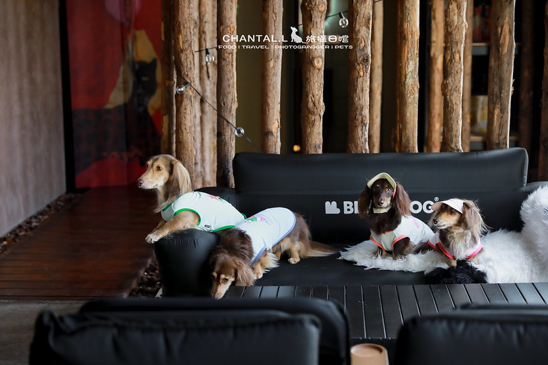 1J6A4818-2拷貝 拷貝