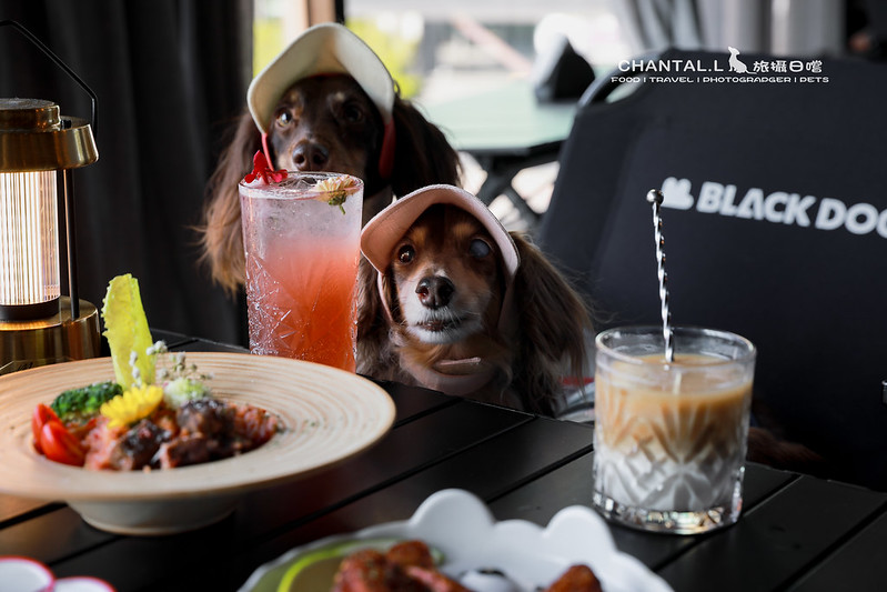 1J6A4956-2拷貝 拷貝