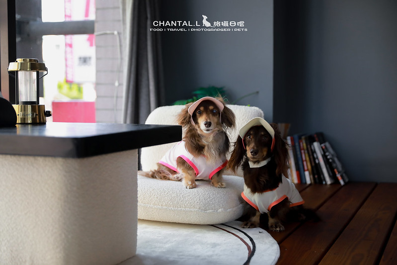 1J6A4831-2拷貝 拷貝