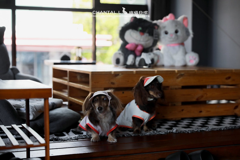 1J6A4821-2拷貝 拷貝