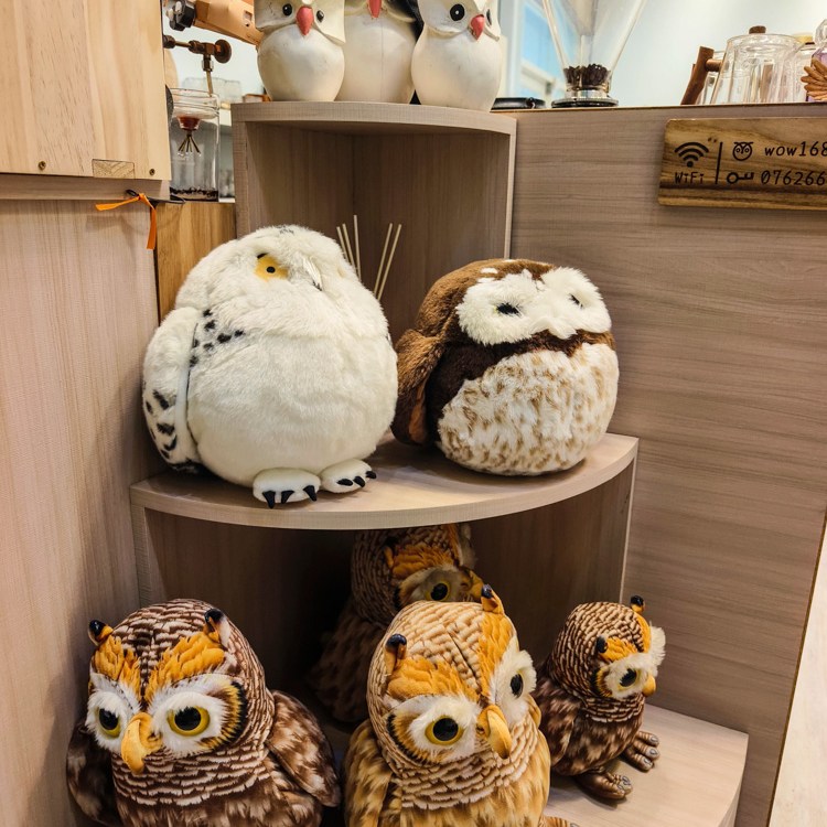 高雄岡山Wowの店貓頭鷹咖啡廳!必吃招牌法式緞帶可頌,北歐風情優雅午茶體驗。