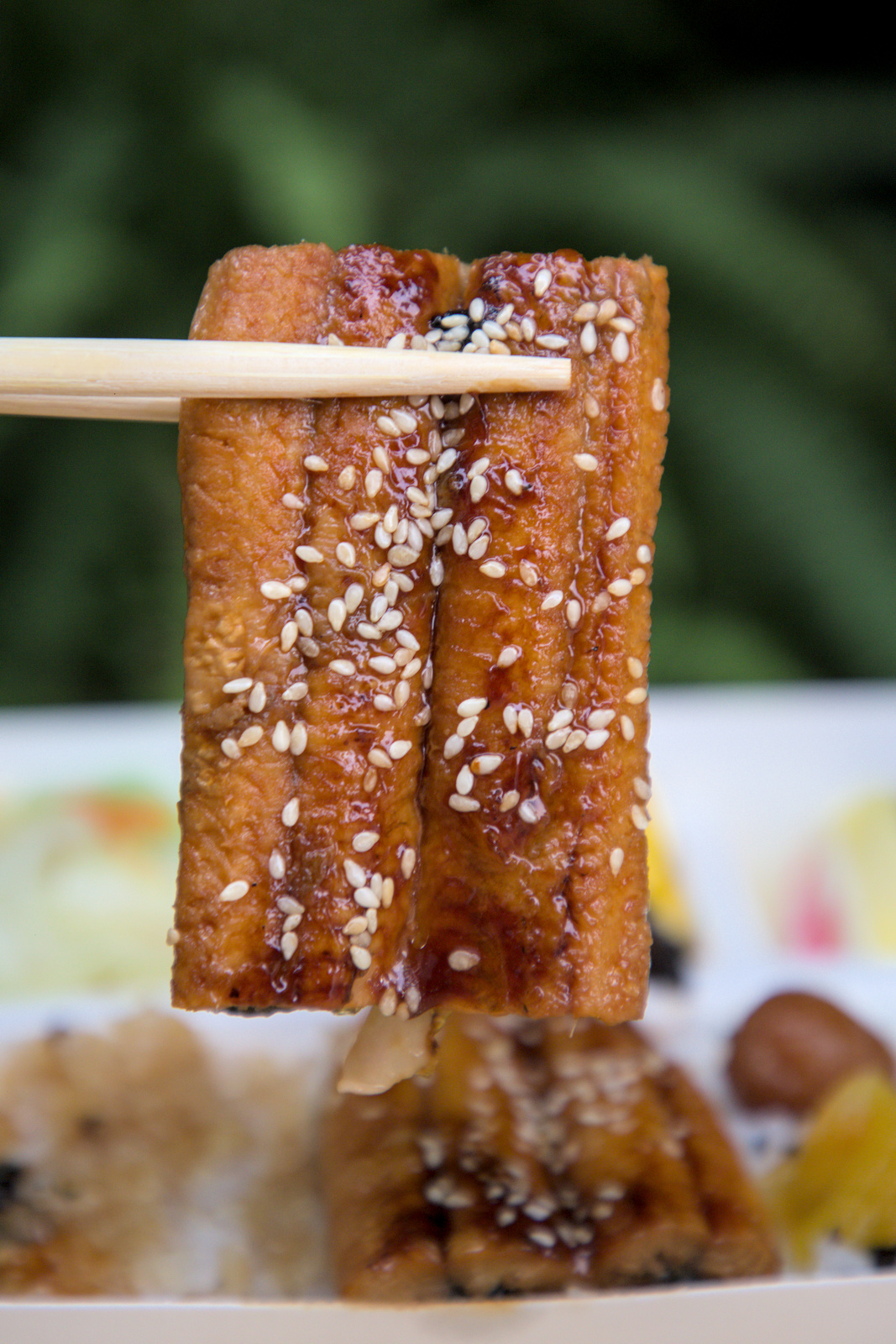 紅蕃茄鰻魚飯,蒲燒鰻魚的厚實口感 紅蕃茄鰻魚飯,用筷子夾起一片蒲燒鰻魚,展示魚肉的厚度與醬汁的濃郁,金黃油亮的外表與Q彈的肉質,讓人垂涎欲滴。