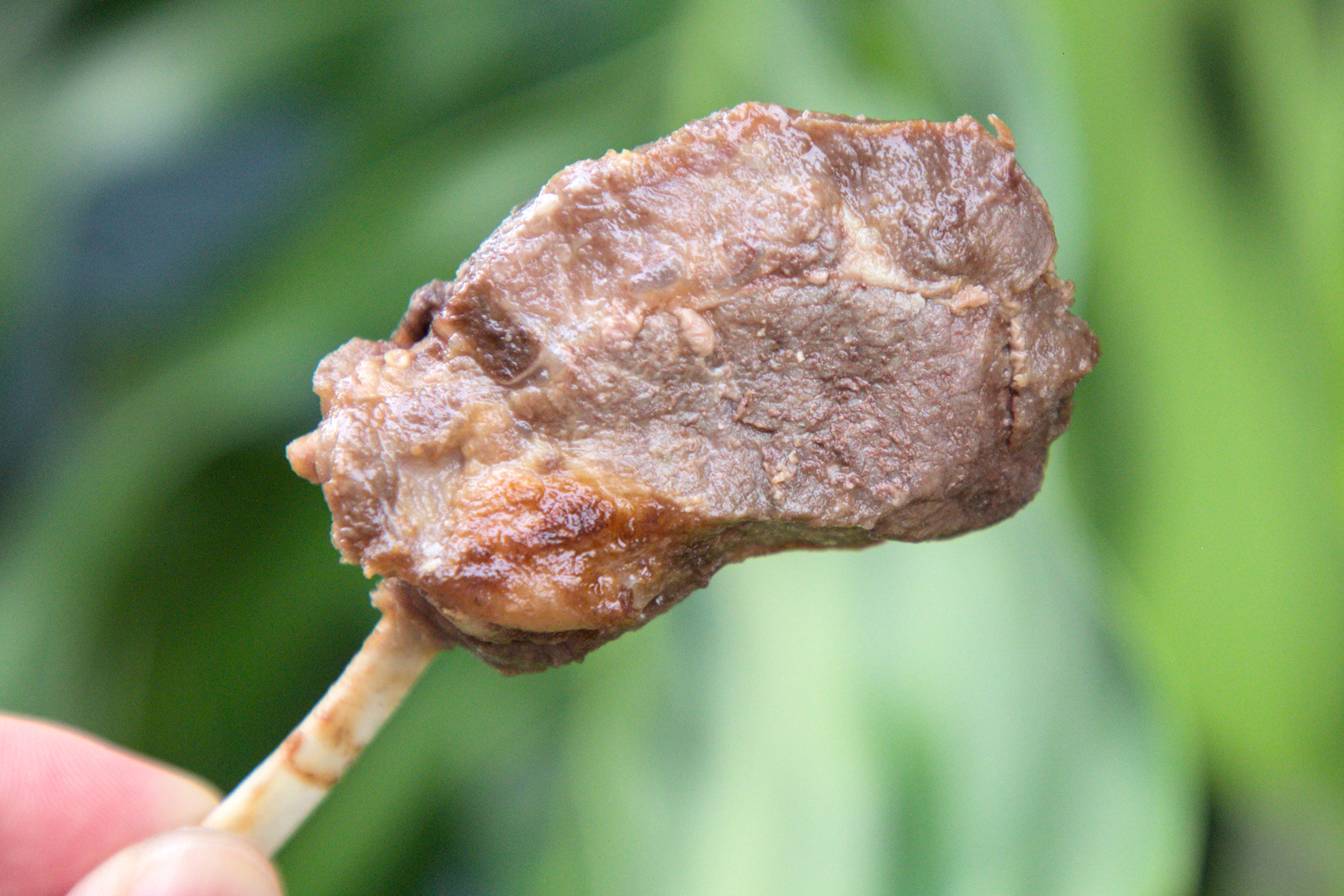 紅蕃茄客製化便當,無羶味的軟嫩多汁羊排 紅蕃茄400元客製化便當中的羊排特寫,帶骨羊排肉質軟嫩多汁,經過獨家調味後,不僅去除羶味,更保留了羊肉的鮮甜,展現出高級便當的用料堅持。