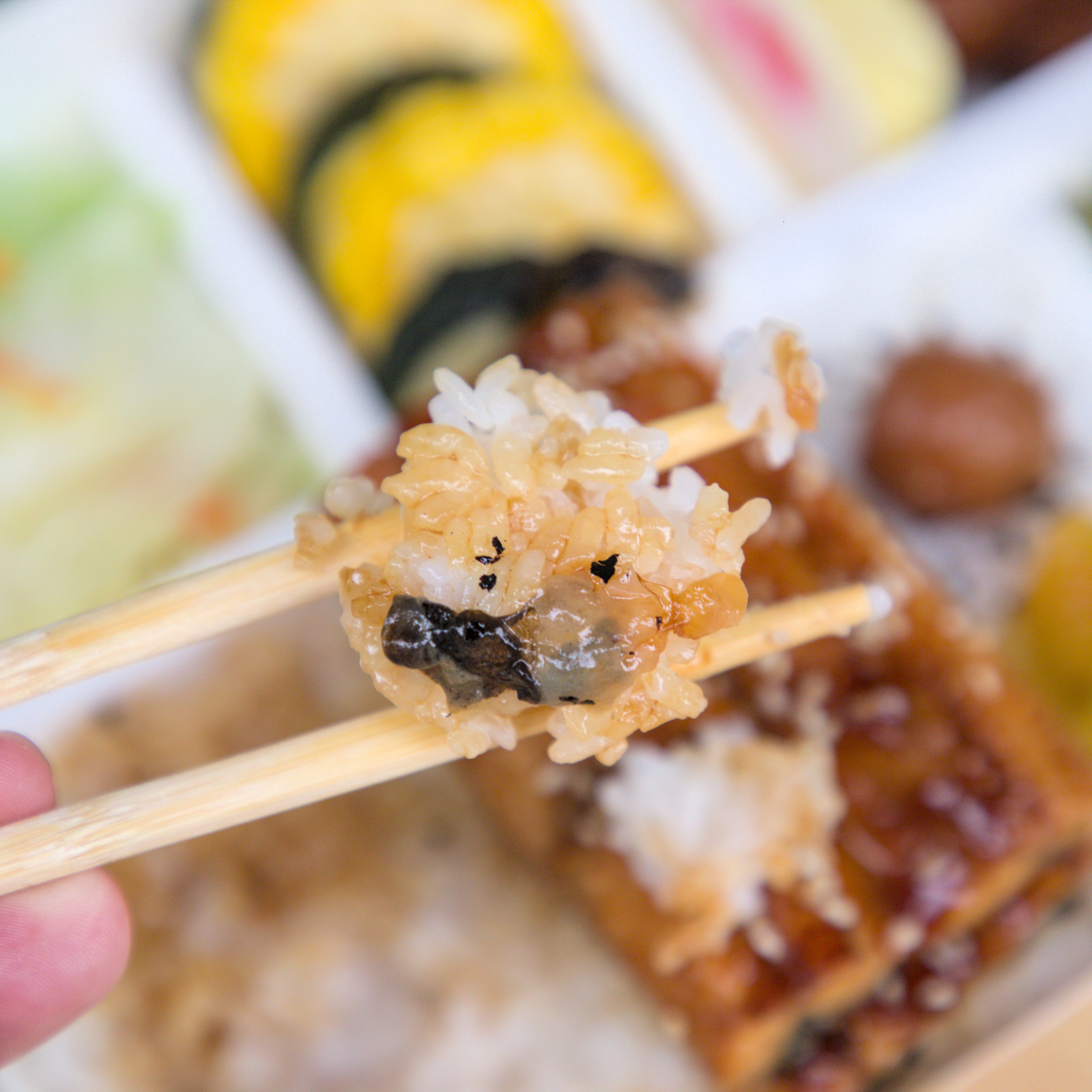 紅蕃茄鰻魚飯,吸滿醬汁精華的美味米飯 紅蕃茄鰻魚飯的米飯特寫,每一顆飯粒都吸飽了蒲燒醬汁的精華,呈現誘人的焦糖色,醬汁的香氣與米飯的Q彈完美結合,讓人難以抗拒。