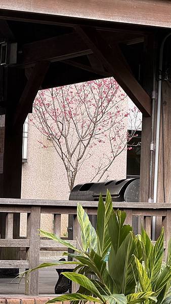 IMG_8056.jpg IMG_8056.jpg