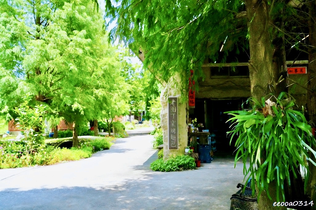 斗南老園丁窯烤麵包｜雲林田園秘境景點，落羽松土團屋裡的手作麵