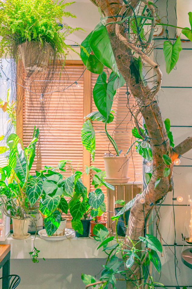 高雄市鹽埕區假日必訪高雄駁二親子咖啡廳,在叢林風格中近距離觀賞可愛柯爾鴨,無低消限制享用人氣造型馬卡龍