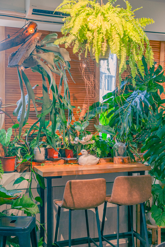 高雄市鹽埕區假日必訪高雄駁二親子咖啡廳,在叢林風格中近距離觀賞可愛柯爾鴨,無低消限制享用人氣造型馬卡龍