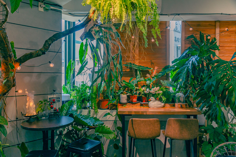 高雄市鹽埕區假日必訪高雄駁二親子咖啡廳,在叢林風格中近距離觀賞可愛柯爾鴨,無低消限制享用人氣造型馬卡龍