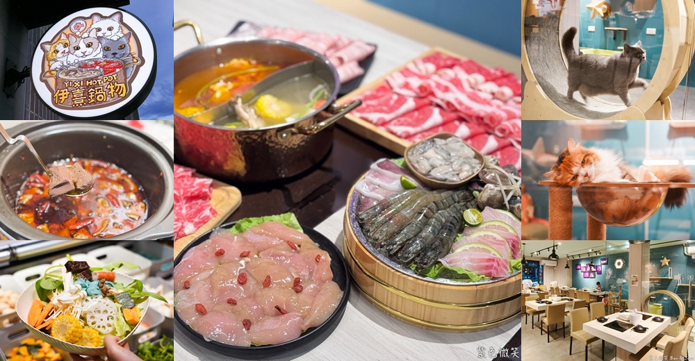 宜蘭羅東火鍋必吃推薦!伊熹鍋物超萌貓咪陪吃超療癒,蔬菜自助吧吃到飽。