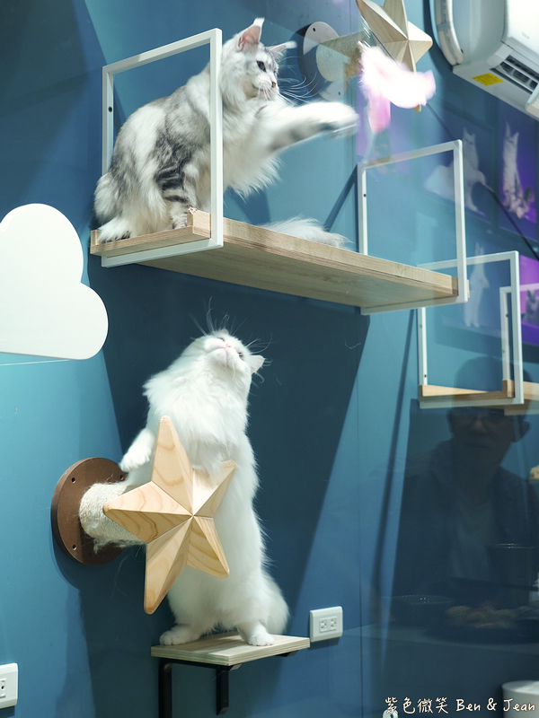 宜蘭羅東火鍋必吃推薦!伊熹鍋物超萌貓咪陪吃超療癒,蔬菜自助吧吃到飽。