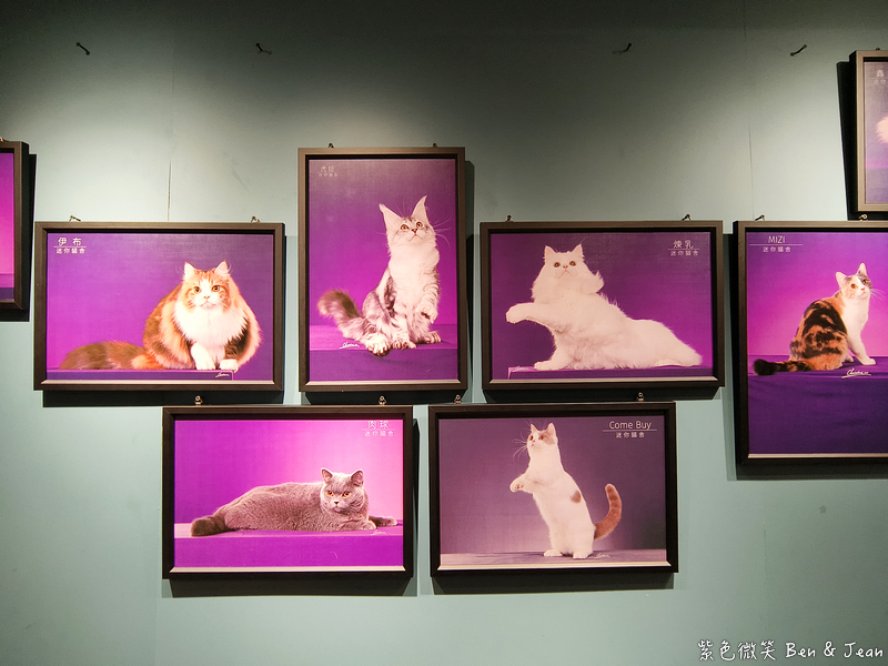 宜蘭羅東火鍋必吃推薦!伊熹鍋物超萌貓咪陪吃超療癒,蔬菜自助吧吃到飽。