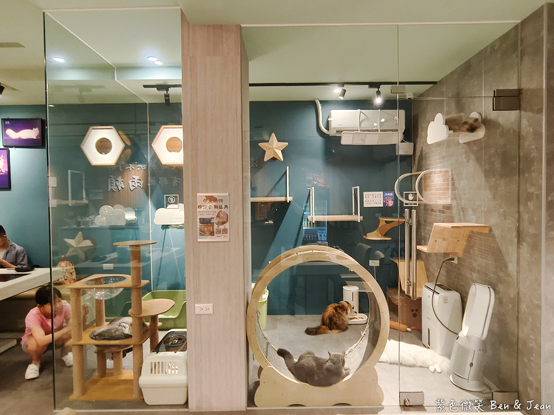 宜蘭羅東火鍋必吃推薦!伊熹鍋物超萌貓咪陪吃超療癒,蔬菜自助吧吃到飽。