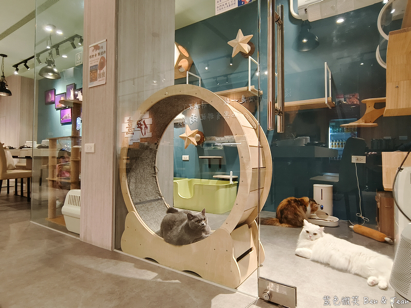 宜蘭羅東火鍋必吃推薦!伊熹鍋物超萌貓咪陪吃超療癒,蔬菜自助吧吃到飽。