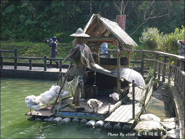 長埤湖-12.jpg