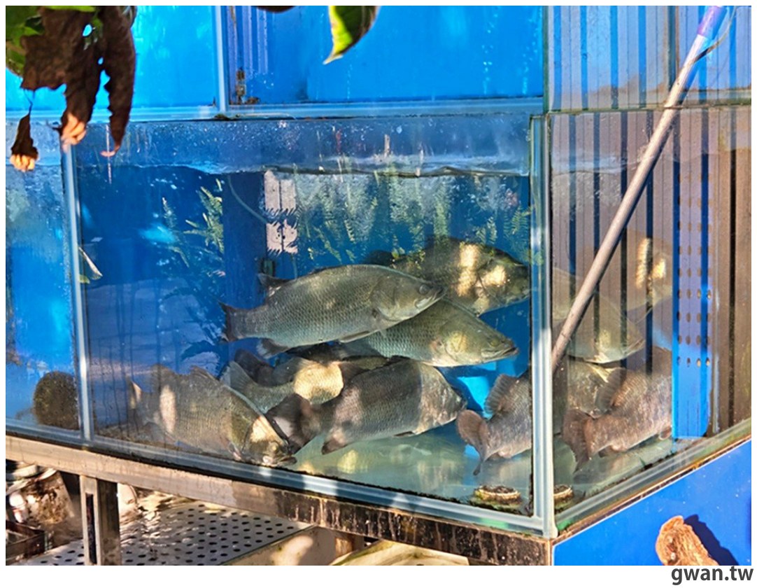 外觀超低調,腳踏車友的秘密基地,綜合生魚片每片不到10元~