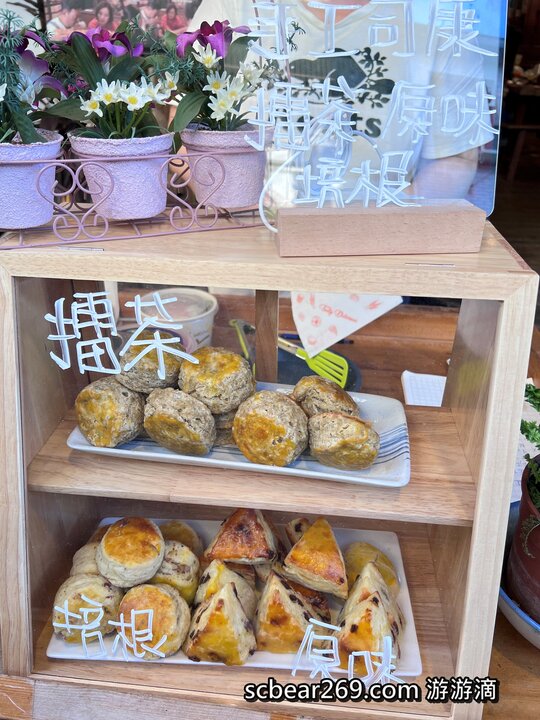 新竹北埔秘境!五指山森林系野餐、必吃手工窯烤披薩。