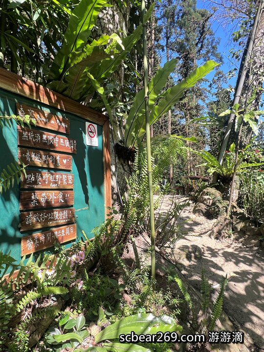 新竹北埔秘境!五指山森林系野餐、必吃手工窯烤披薩。