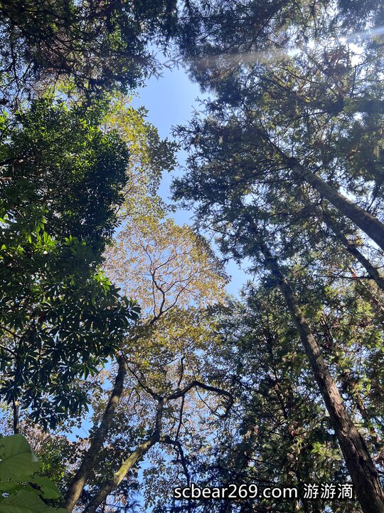 新竹北埔秘境!五指山森林系野餐、必吃手工窯烤披薩。