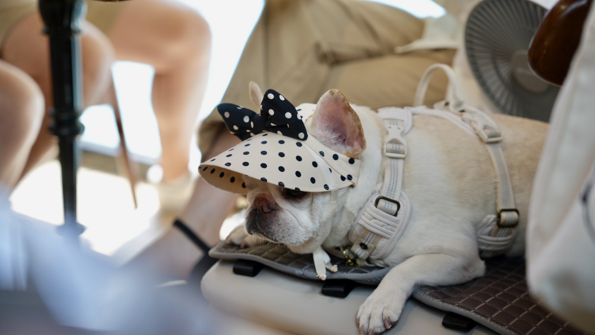 林口三井Outlet美食推薦！TOASTERiA Cafe新插旗，限定版義大利麵必點。