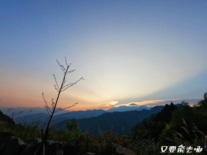 【嘉義阿里山懶人包】阿里山13大景點總整理！巨木群棧道、鹿林神木、姊妹潭，吸收芬多精絕佳景點，好山好水好愜意！ - 又要飛去哪！？