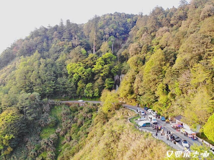 【嘉義阿里山懶人包】阿里山13大景點總整理！巨木群棧道、鹿林神木、姊妹潭，吸收芬多精絕佳景點，好山好水好愜意！ - 又要飛去哪！？