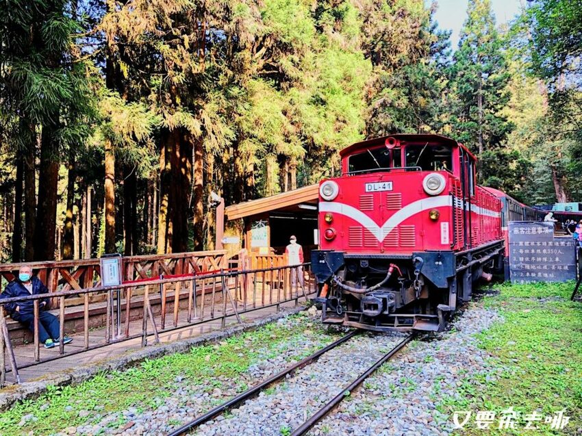 【嘉義阿里山懶人包】阿里山13大景點總整理！巨木群棧道、鹿林神木、姊妹潭，吸收芬多精絕佳景點，好山好水好愜意！ - 又要飛去哪！？