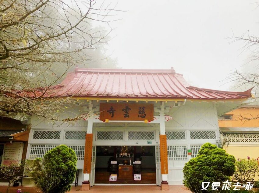 【嘉義阿里山懶人包】阿里山13大景點總整理！巨木群棧道、鹿林神木、姊妹潭，吸收芬多精絕佳景點，好山好水好愜意！ - 又要飛去哪！？