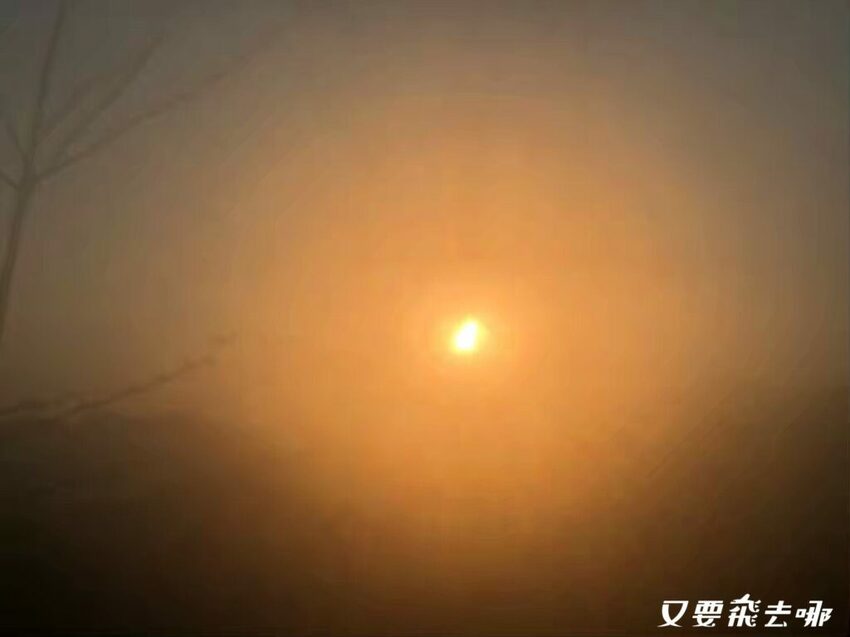 【嘉義阿里山懶人包】阿里山13大景點總整理！巨木群棧道、鹿林神木、姊妹潭，吸收芬多精絕佳景點，好山好水好愜意！ - 又要飛去哪！？