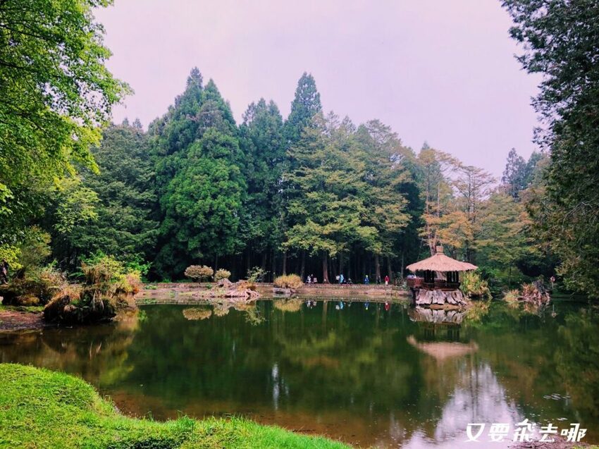 【嘉義阿里山懶人包】阿里山13大景點總整理！巨木群棧道、鹿林神木、姊妹潭，吸收芬多精絕佳景點，好山好水好愜意！ - 又要飛去哪！？