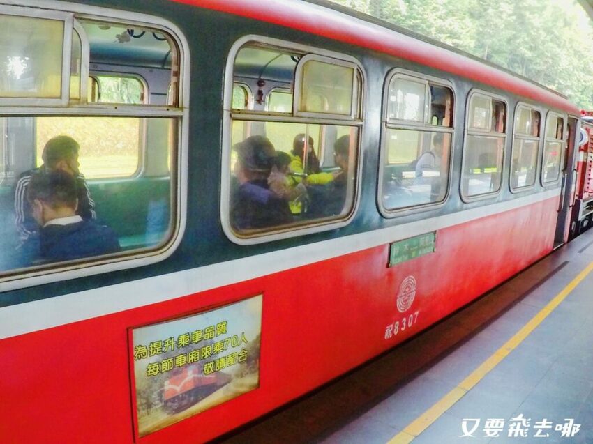 【嘉義阿里山懶人包】阿里山13大景點總整理！巨木群棧道、鹿林神木、姊妹潭，吸收芬多精絕佳景點，好山好水好愜意！ - 又要飛去哪！？